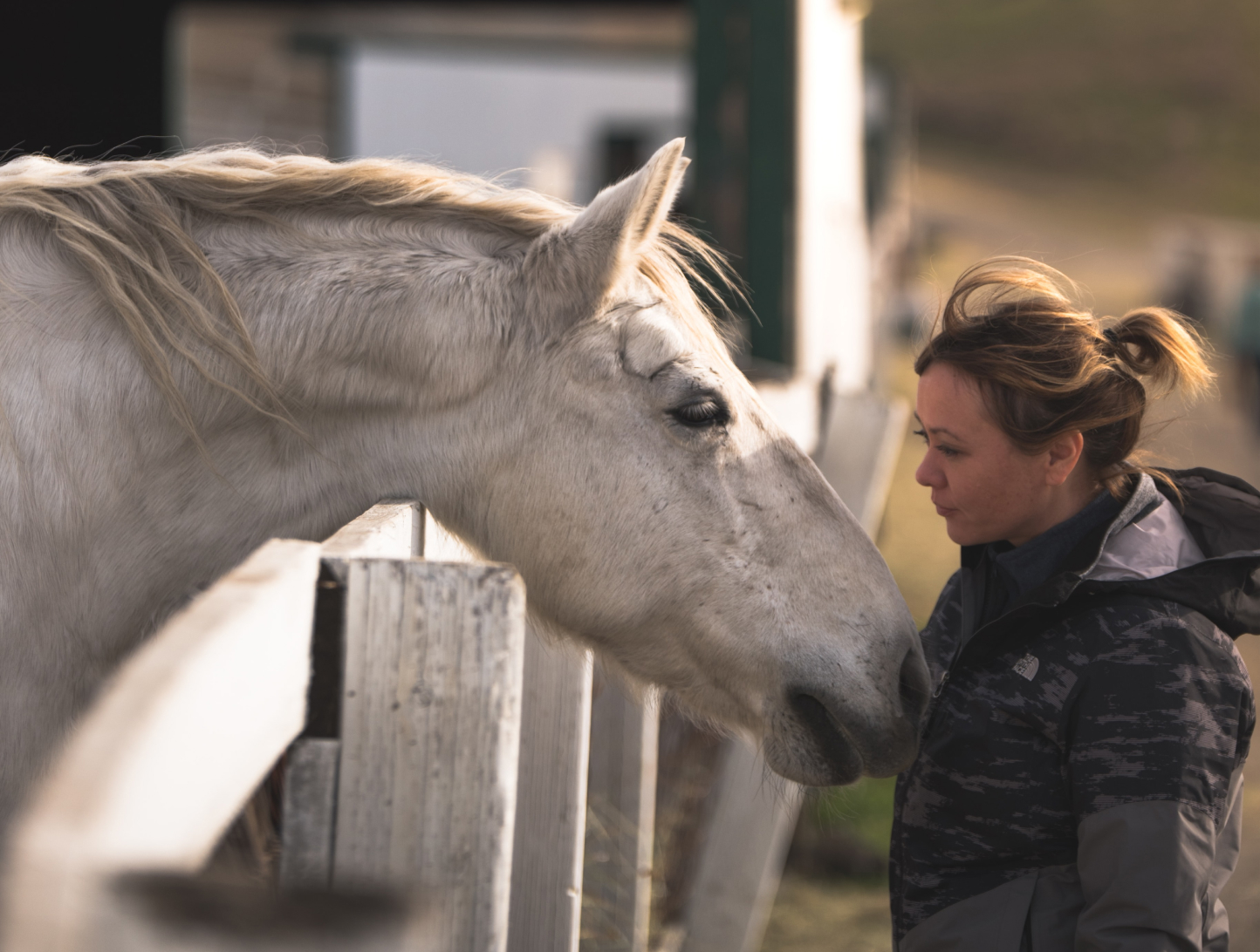 Woman petting horse